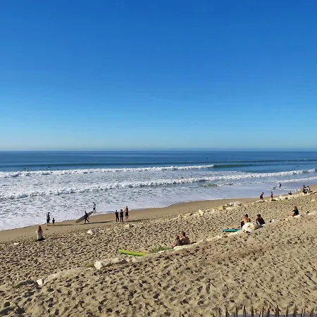 Les Oceanides-9 By Interhome Appartamento *