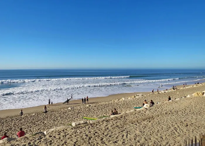 Les Oceanides-9 By Interhome Lejlighed *